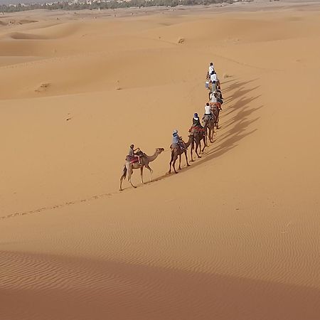 לינה וארוחת בוקר Hassilabied Camels House מראה חיצוני תמונה